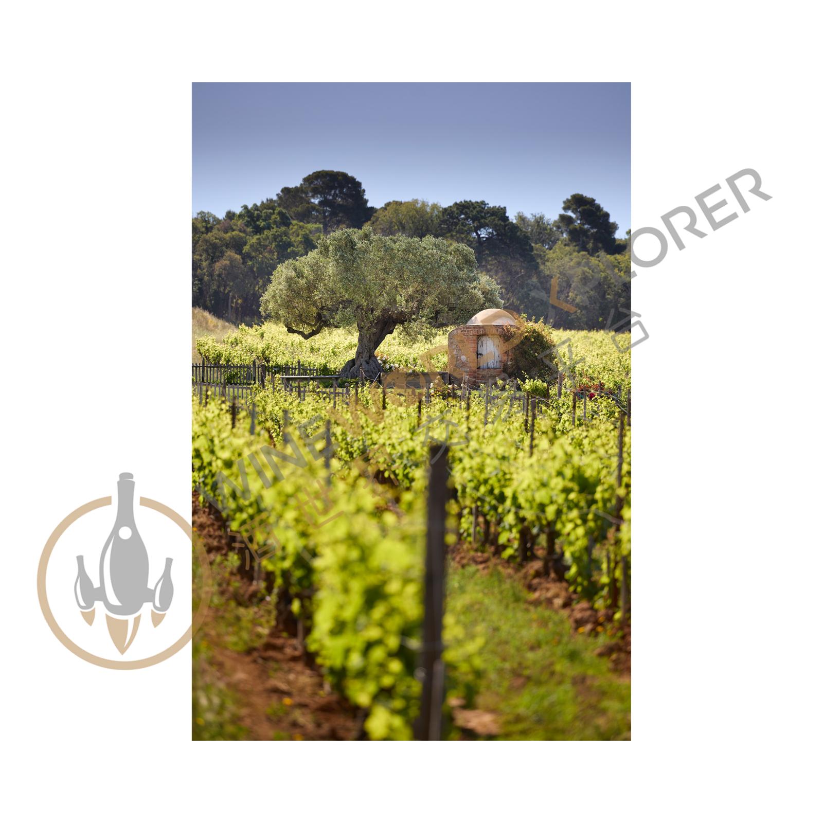 Malherbe, xCotes de Provence Rose 2021