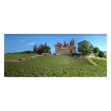 Etienne Sauzet, Puligny Montrachet 1er Cru La Garenne 2014 photo 7